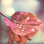 每天都进步的ddos攻击